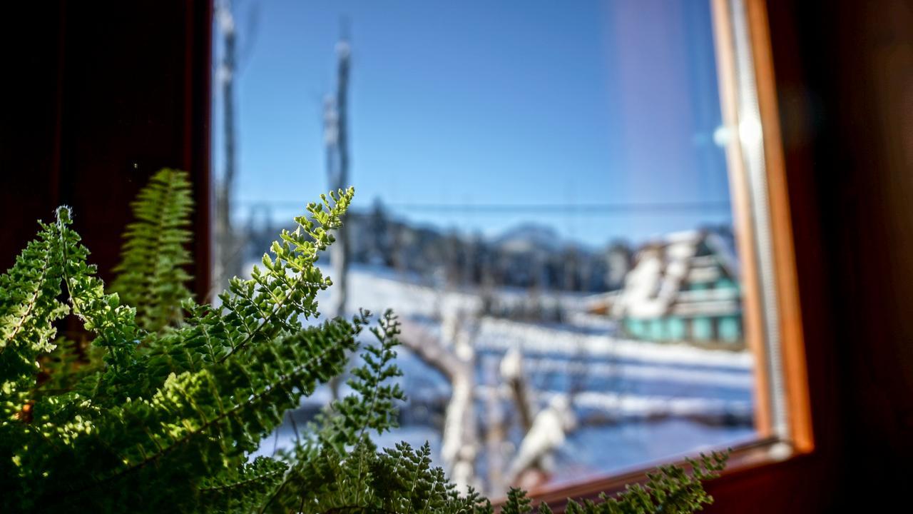 Msc Apartments Honeymoon Zakopane Exterior foto